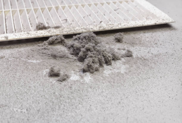 Best Ventilation Cleaning Services  in Black Canyon City, AZ