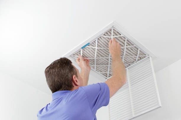 Best Affordable Duct Cleaning Services  in Black Canyon City, AZ